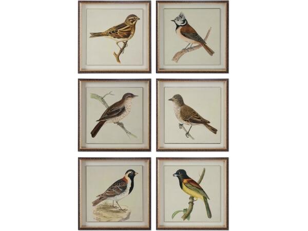 Spring Soldiers Bird Prints S/6 Art Uttermost