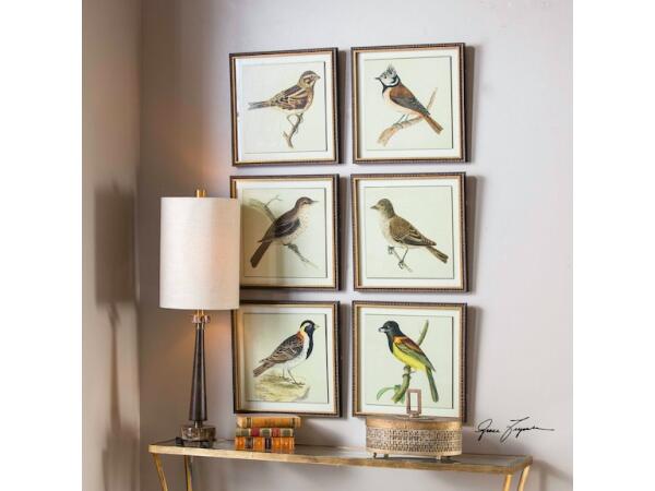Spring Soldiers Bird Prints S/6 Art Uttermost 3
