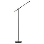 68" Height Metal Floor Lamp in Black and Antique Brass Finish BO-2843FL