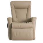 IMG Prince Lift Recliner - Image 2
