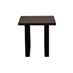 Porter Manzanita Midnight End Table