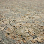 Divina Euphoric Grey - Image 5