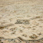 Divina Gloriana Cream - Image 4