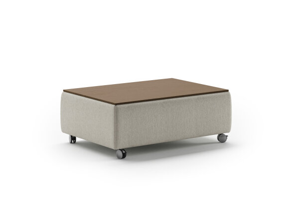 Luonto Functional Coffee Table - Image 3