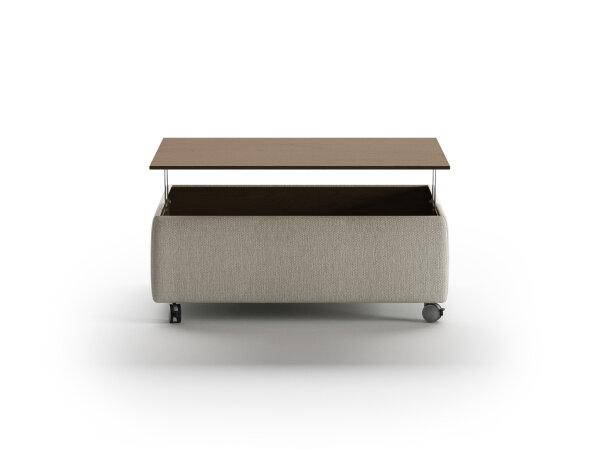 Luonto Functional Coffee Table - Image 4